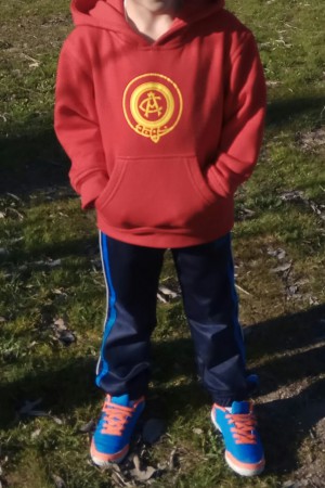 /products/sudadera-primer-escudo/